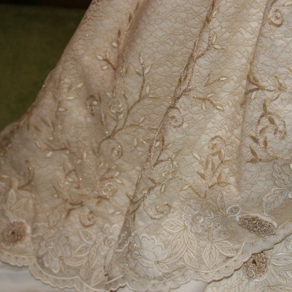 Stunning Gold/Ivory Ball Gown & Veil-Reduced $120! - Picture 16 of 16